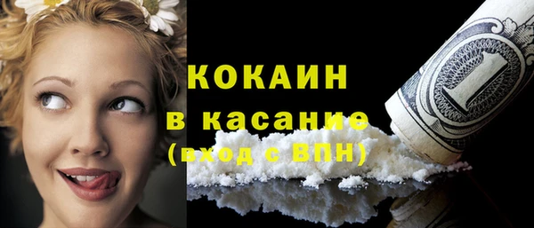 бошки Белокуриха