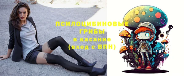 бошки Белокуриха