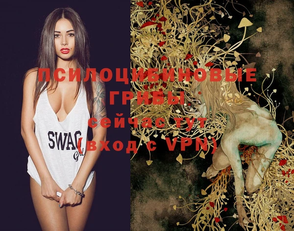 бошки Белокуриха