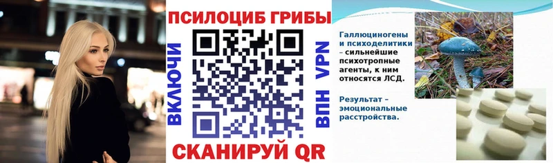 купить наркоту  Корсаков  Галлюциногенные грибы мицелий 